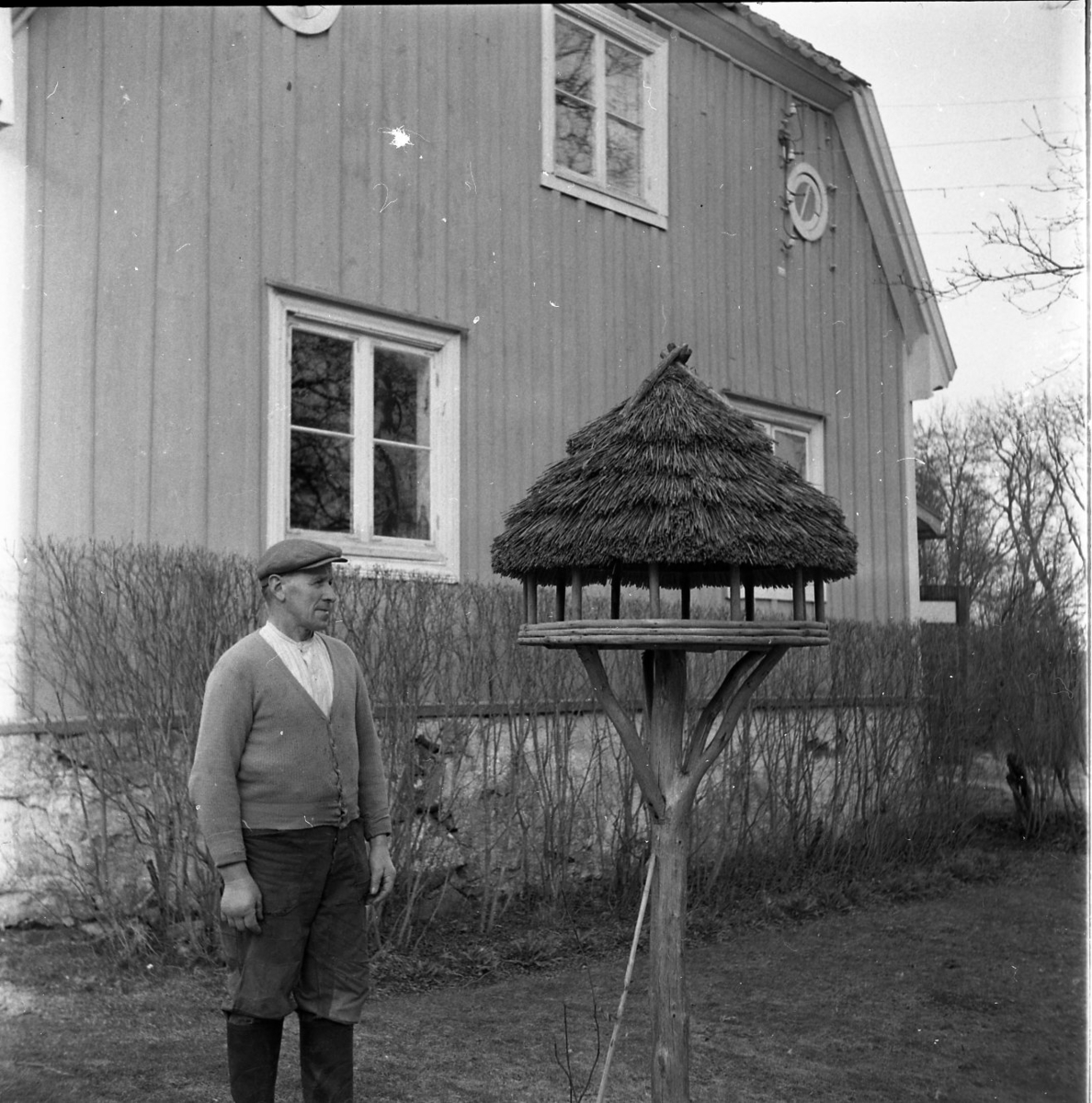 Porträtt av Algot Wallin utanför sitt hus. Han står bredvid en fågelmatare med ett flätat tak.