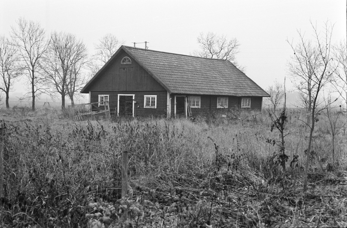 Svinhus, Plenninge 1:2 och 1:3, Vaksala socken, Uppland 1978