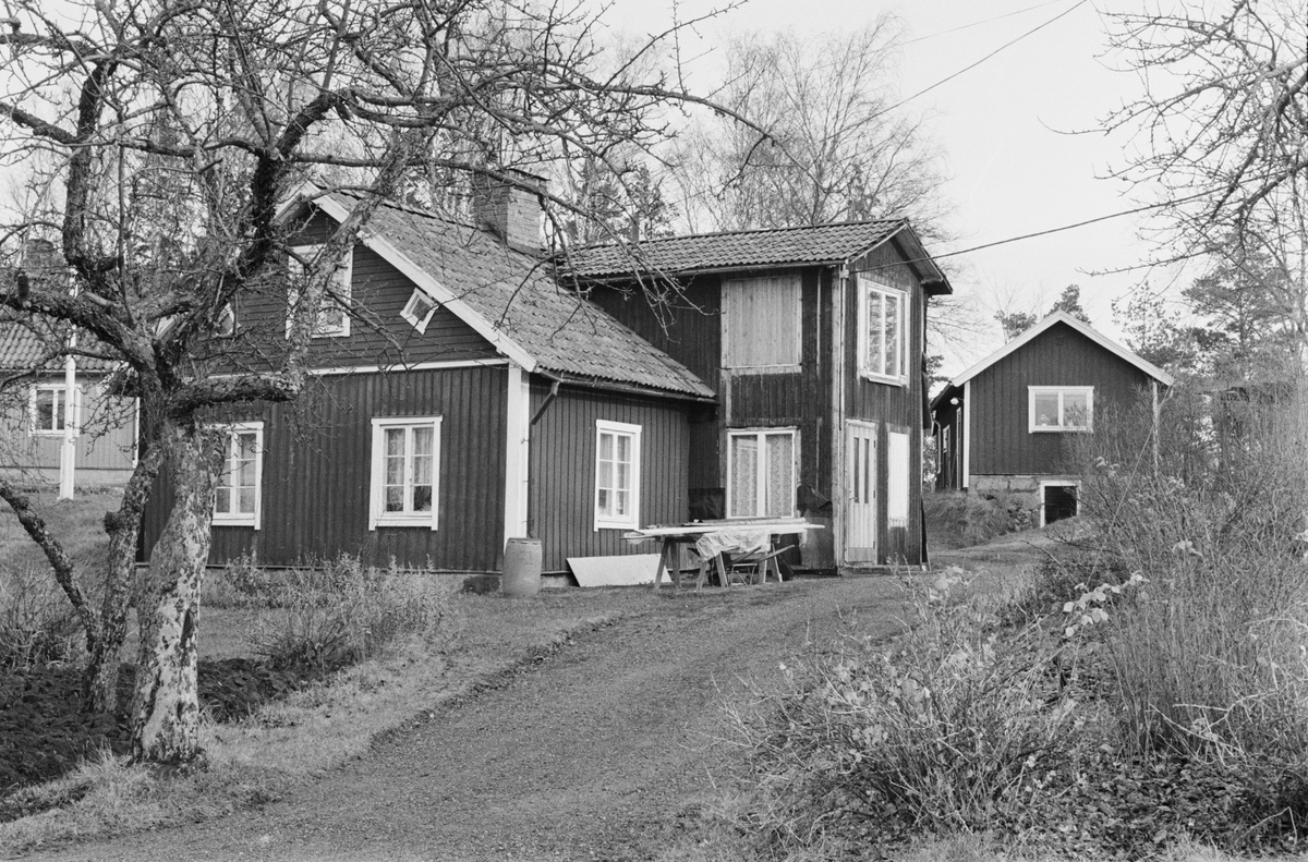 Bostadshus och källarstuga, Svia 3:7, Enbacken, Vaksala socken, Uppland 1978