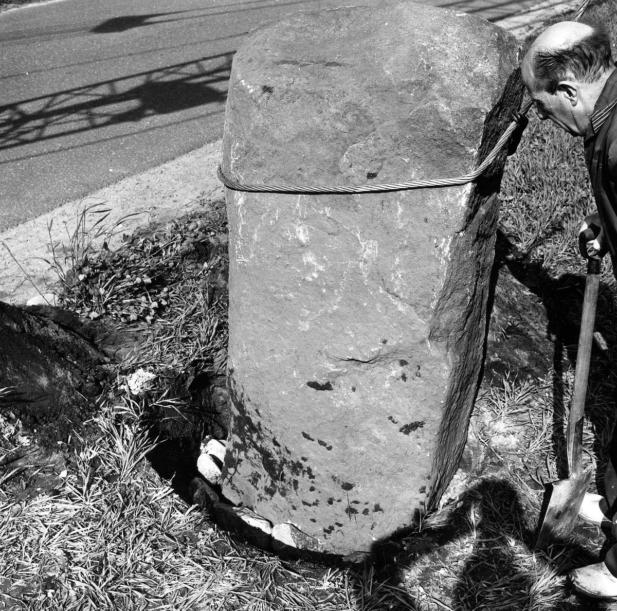 Snöstorps sn. Snöstorp. Kyrkbyn 20/51967. Resning av sten 6 från sydost.

Foto från SO, 20 maj 1967, Lennart Lundborg.