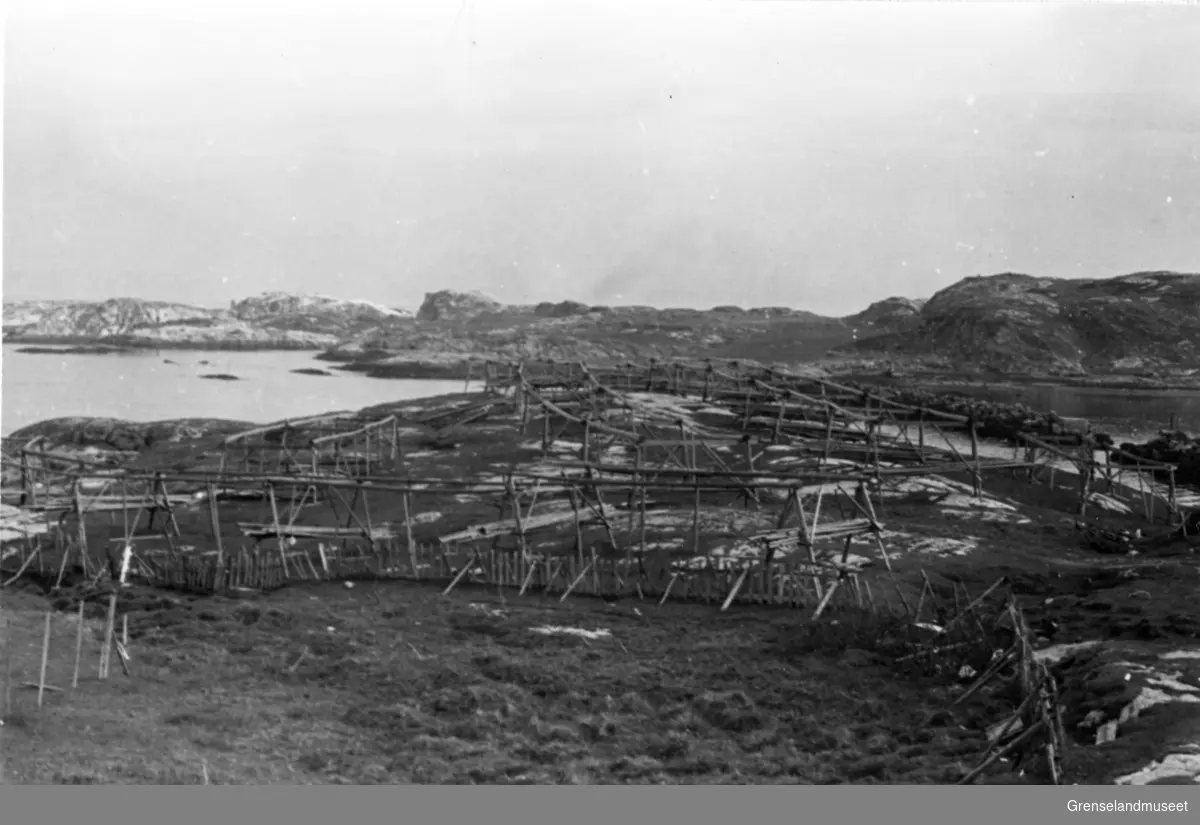 Bugøynes 19.07.1970. Sett fra sør-vest.
Innmark, fiskehjeller. Bugøya i bakgrunnen.