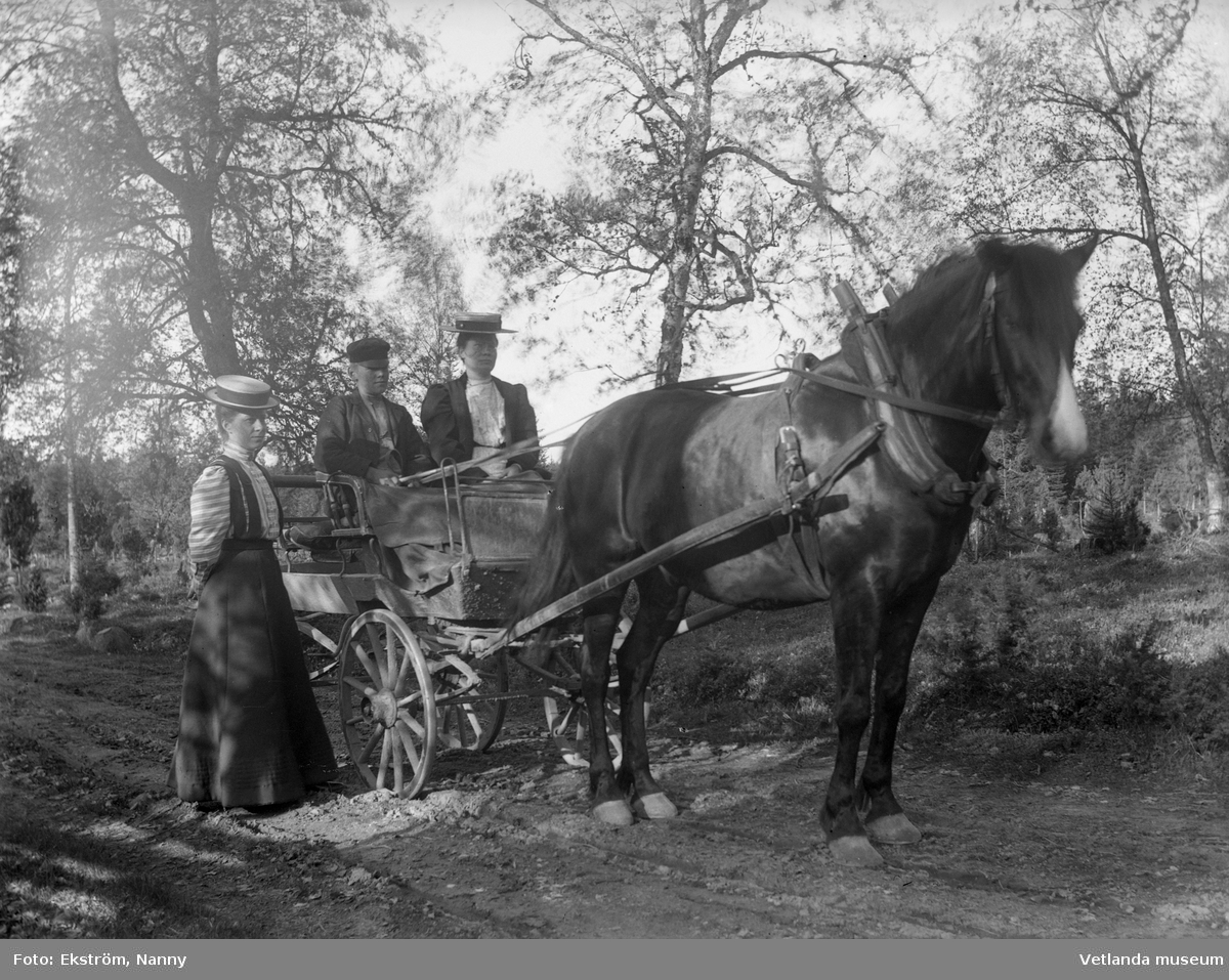Grupp ute med häst och vagn. Personerna på bilden är troligtvis bekanta till fotografen Nanny Ekström.
