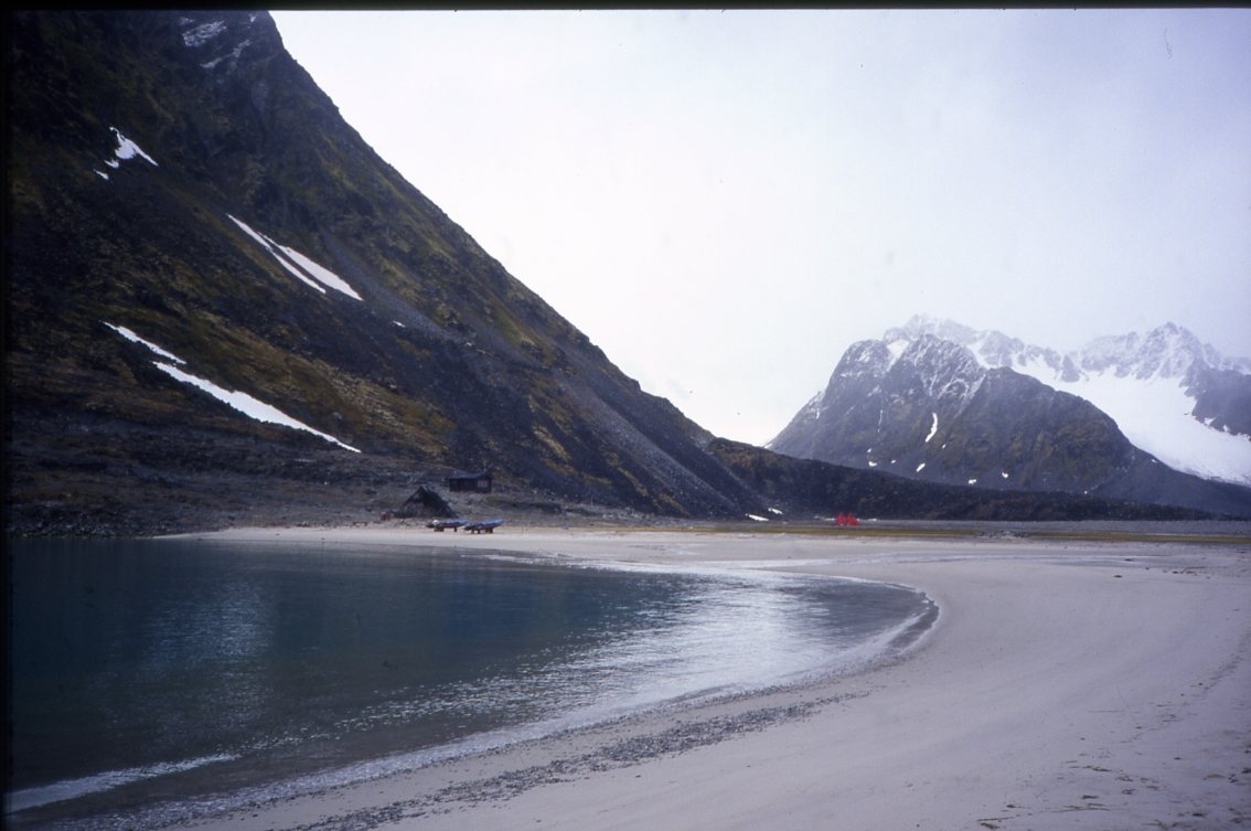 En sandstrand i Trinityhamna i botten av Magdalenafjorden.