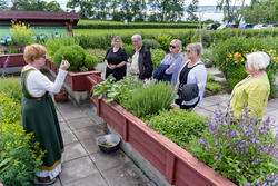 A guided tour in the Herb garden is performed by a vigorous woman dressed in Medieval clothing.