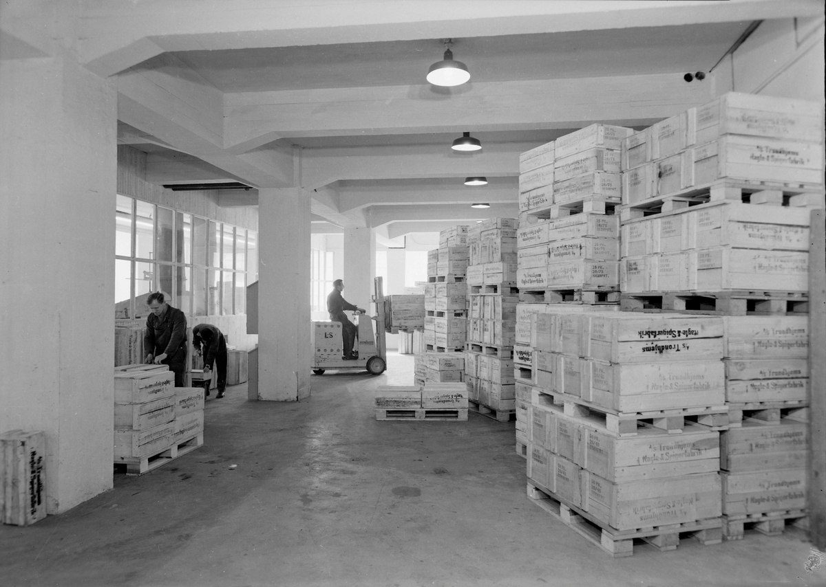 Trondhjems nagle- & spigerfabrik