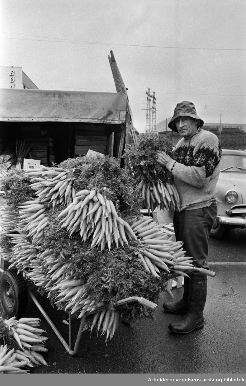 Økerntorget. Grønnsakhandler Berger Vestby fra Haga. Gulerøtter. Juli 1967
