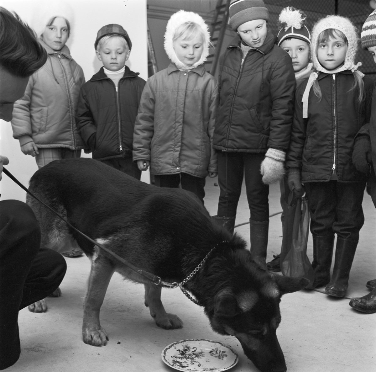 Barntrafikskolans avslutning, Tierp, Uppland 1969