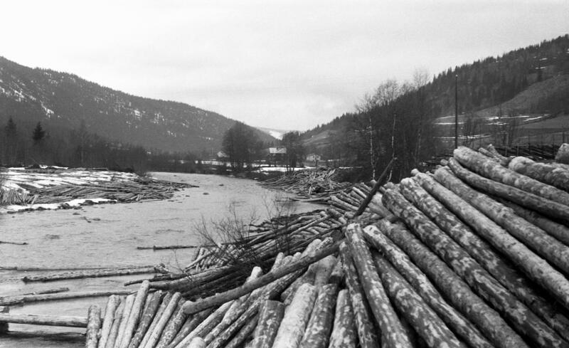 Foto av tømmer stablet på elvebredd klar til å slippes i elva. (Foto/Photo)