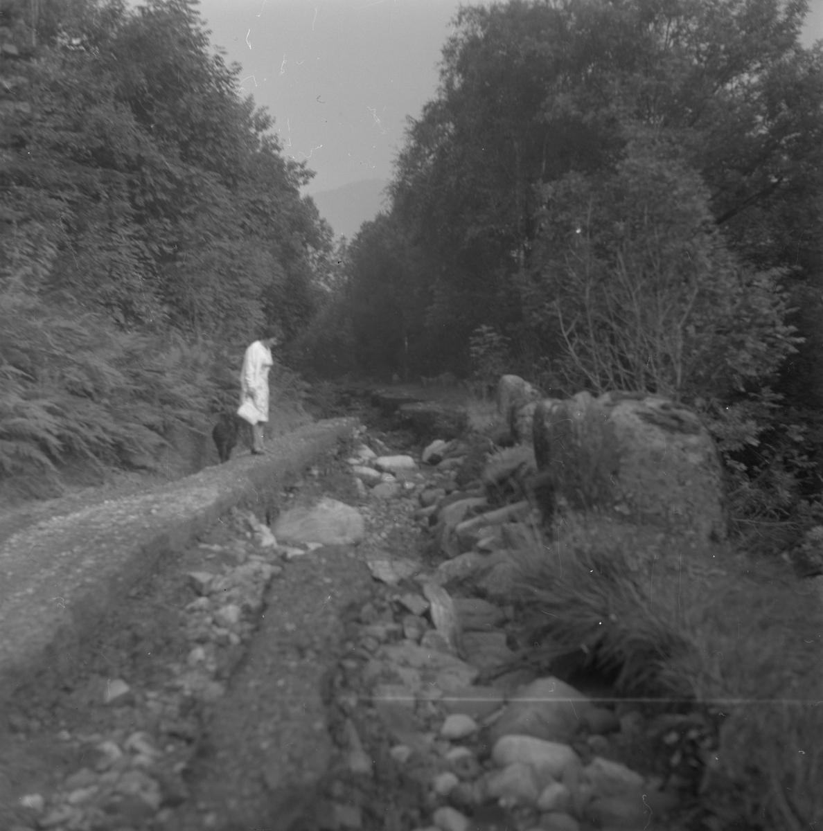 Flaumskader i Eidedalen i Ølen, 1975. Ståande langs den øydelagde vegen er Gunnhild Heggen.