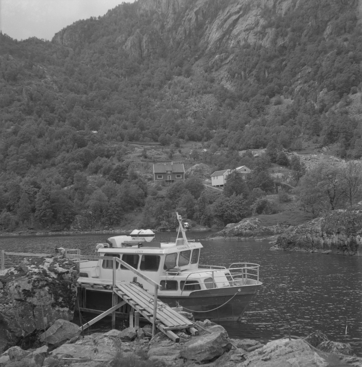 Fjellsida på Våge i Suldal sett mot aust, 1975.