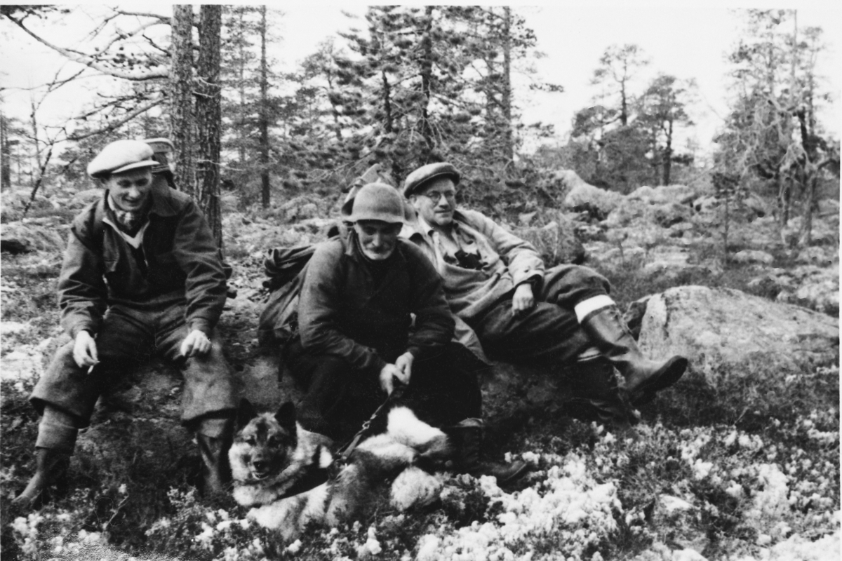 Tre karer og en hund har en pause i Skarpåsen under elgjakta 8. oktober 1954