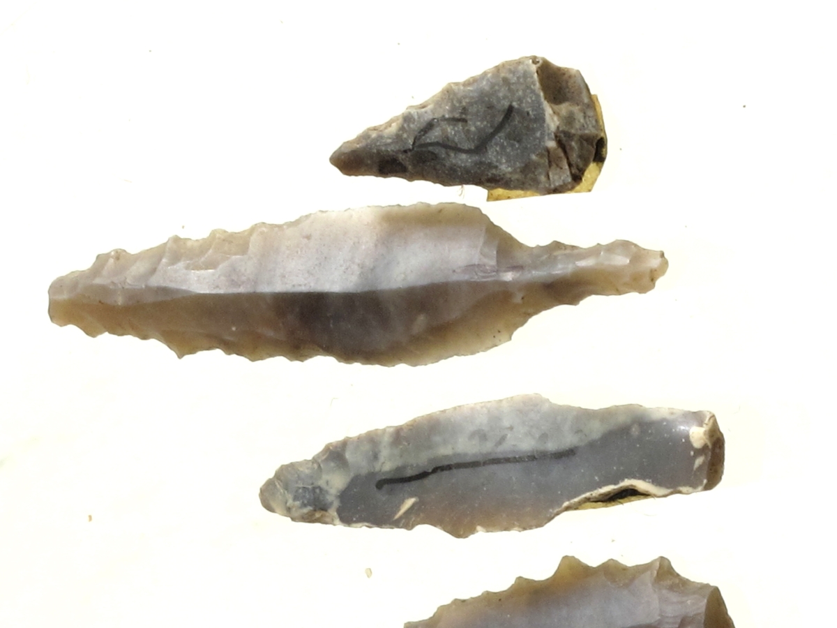 2 hele og 4 fragmentariske flekkepiler av grå flint med retusjerte tanger og odd, herav 1 fragment med sagtannet egg (sml. Rogalands Stenalder, fig. 176). 

Lengde 2-4,6 cm. 

(A. 1786, 2209, 2211).
