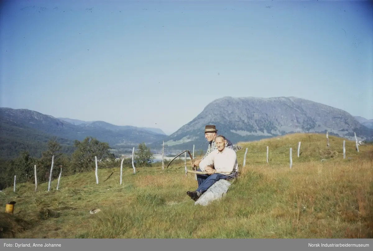 Olav Lien og Kjetil Skindalen sitter på en stein med ljå i handa på gården Lien