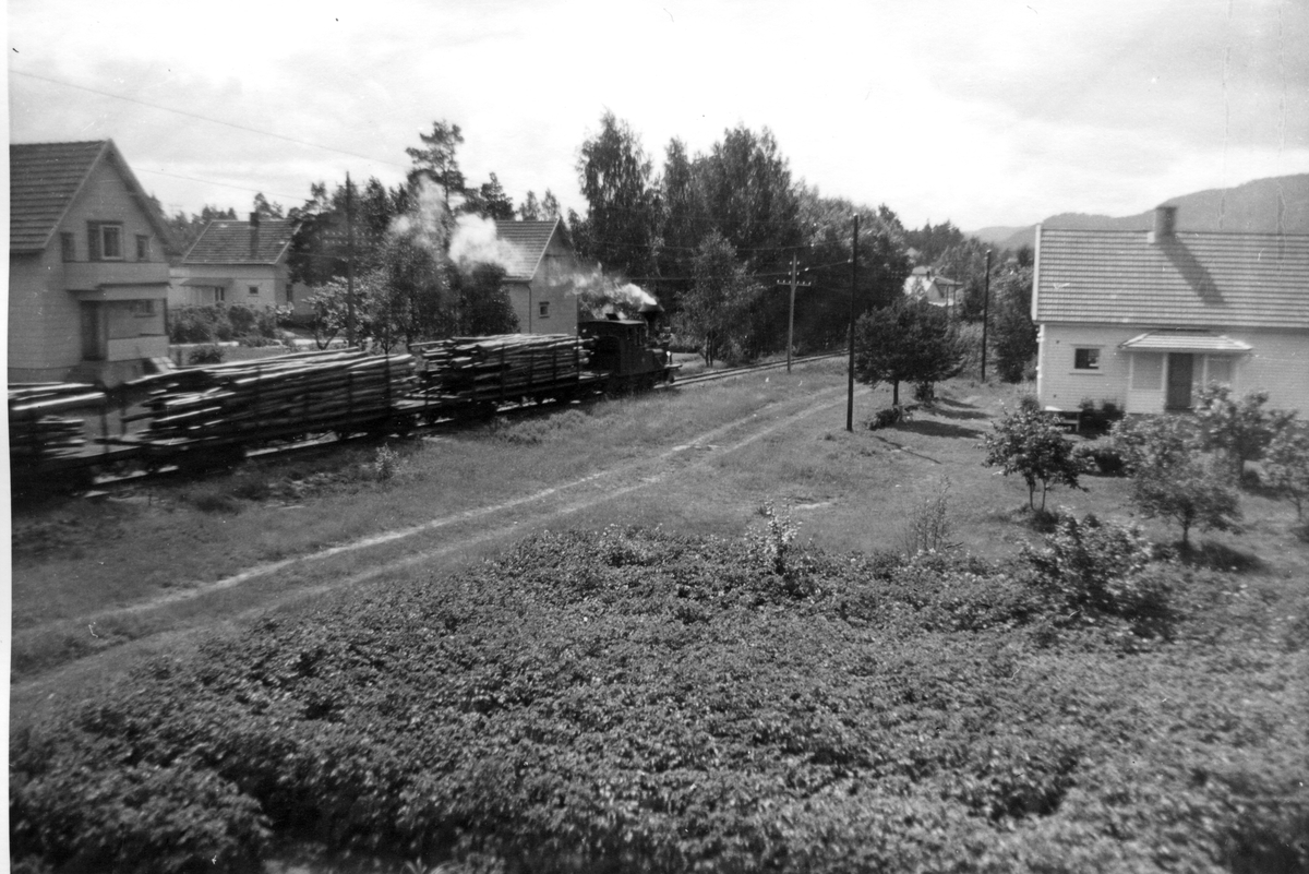 Godstog på Setesdalsbanen. Tømmertog trukket av damplokomotiv. Sporet gikk nærme bebyggelsen på Evje. 