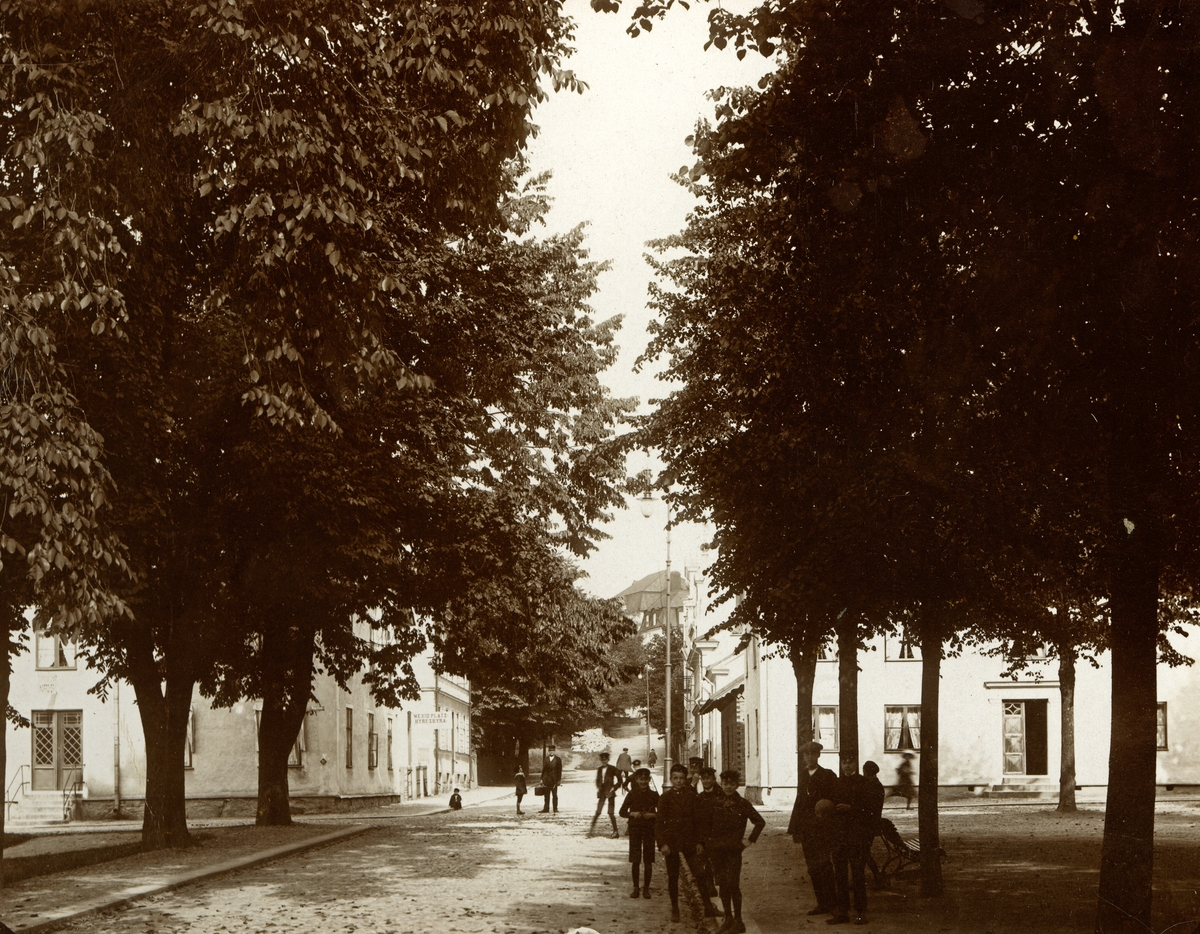 Västergatan Norrut. Växjö, Ca. 1911.
