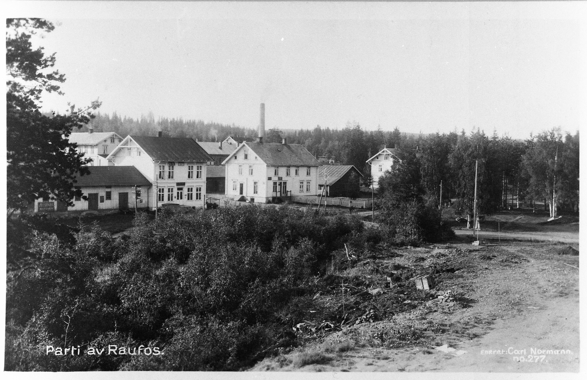 Postkort med parti fra Raufoss 1917. Bildet er tatt fra Brubakken skole mot sydøst. Bygningen til venstre er "Christiansen-gården", hvor Torvhallen senere ble bygd. Til høyre er Alf Andresens bakeri, og bak skimtes pipa på meieriet.