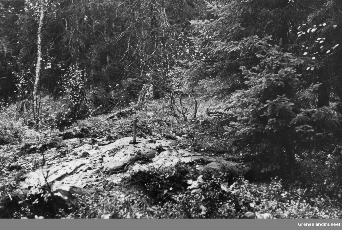 En hakke står på et blottlagt berg, Rana 1937.