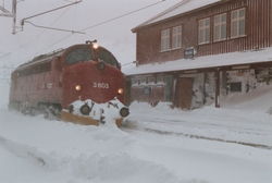 Diesellokomotiv Di 3 603 på Myrdal stasjon