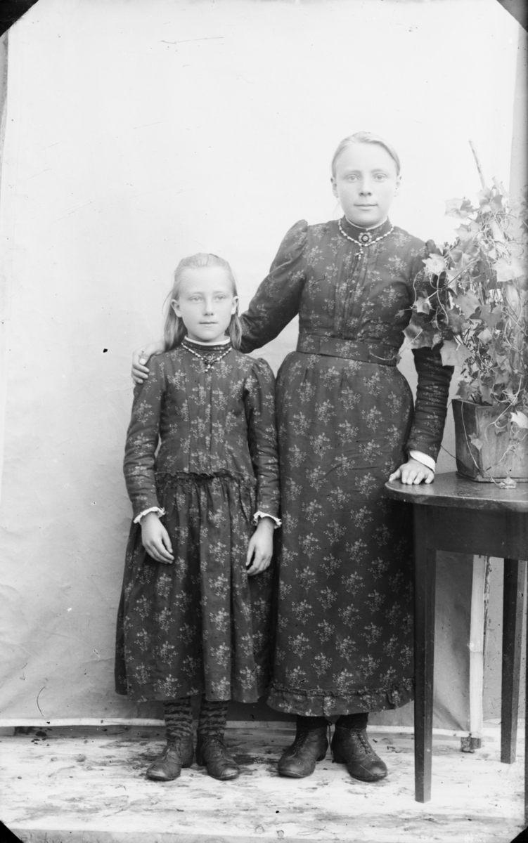 To jenter i helfigur som står ved siden av et bord med en stor slyngplante. De har like, fotside kjoler med blomstermotiv og lange ermer