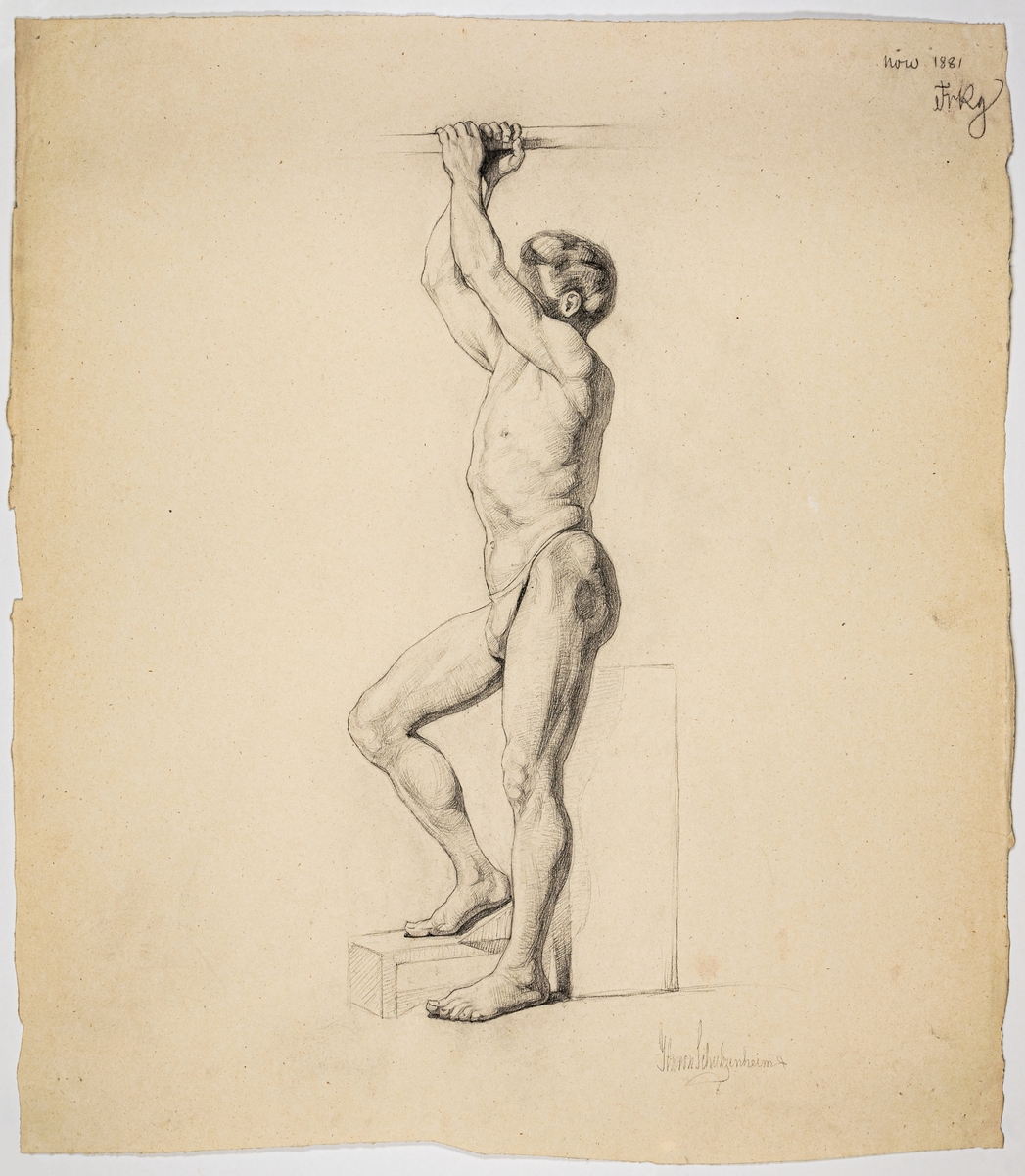 Modellstudie av stående man, anatomisk studie. Signerad Ida von Schulzenheim. 
Övrig påskrift: Nov 1881 FrRg