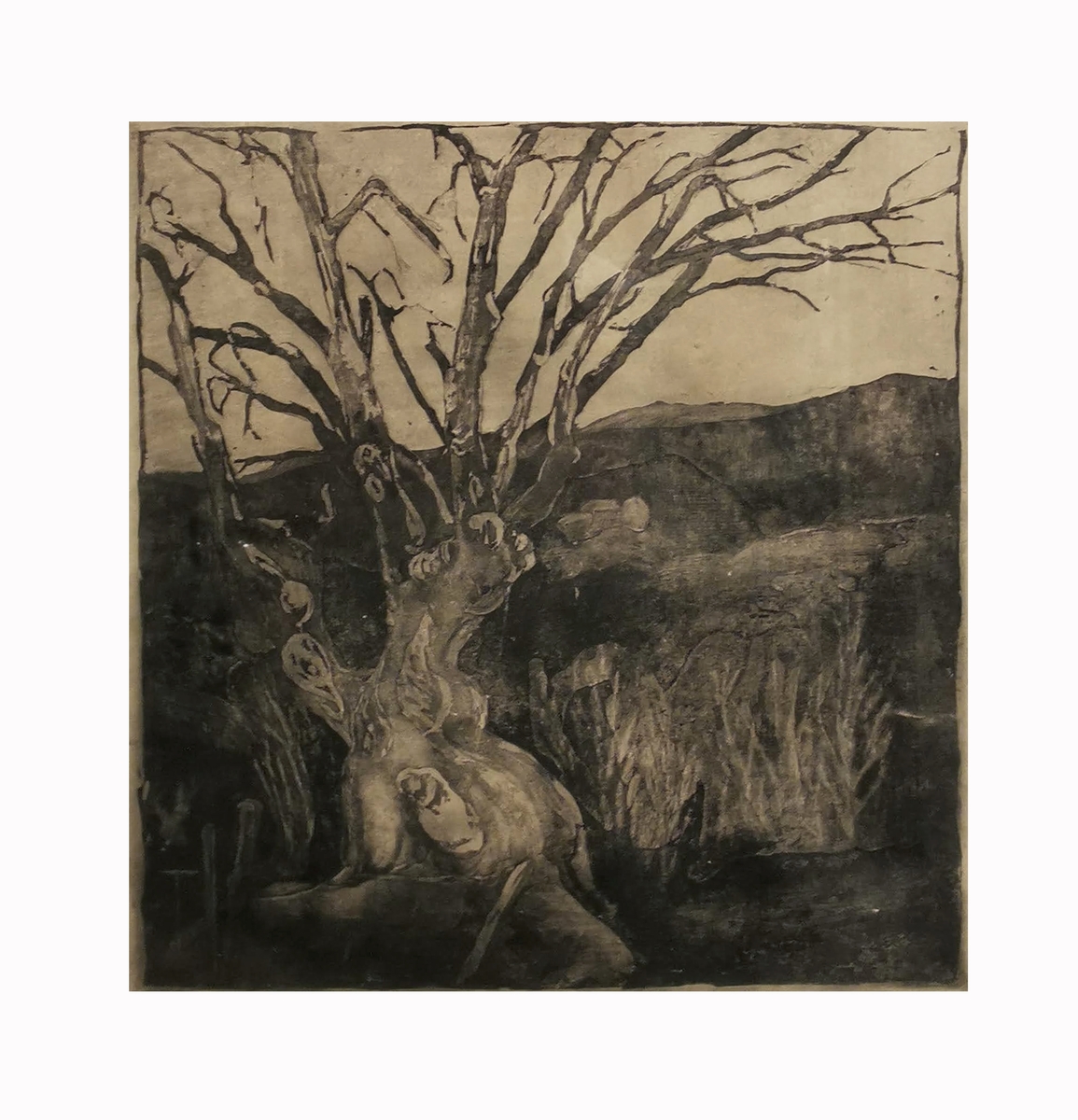 Motivet viser et tre med grener uten blader, i bakgrunnen et landskap.