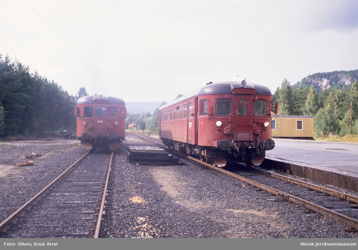 Krysssing på Flesberg stasjon mellom dieselmotovogn BM 86 27 (t.h.) og dieselmotovogn BM 86 15