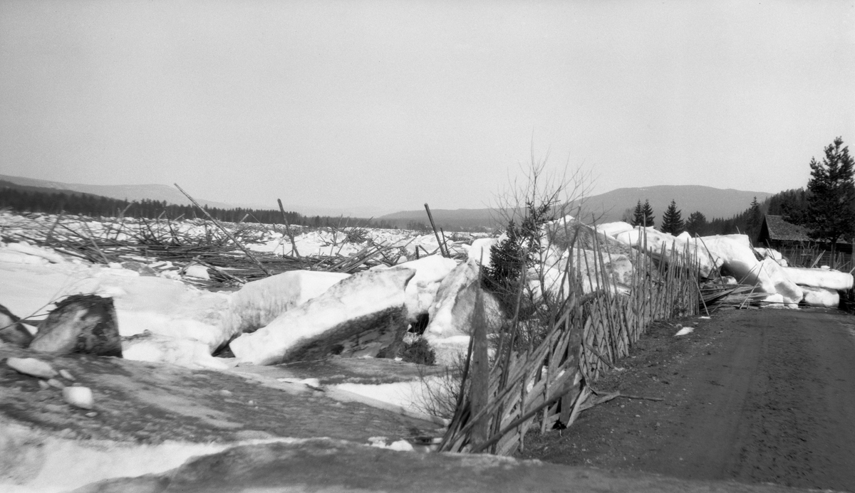 Fra vår- eller flomisgangen i Glomma i begynnelsen av mai 1928, Fotografiet er tatt ved Langenga i Strandbygda i Elverum, fra bygdevegen, langsmed en istykkerpresset skigard. I bakgrunnen ser vi et elveløp der isflak fra den ovenforliggende delen av vassdraget hadde pakket seg sammen og dannet en voll, som stengte for is og vann som kom flytende nordfra. På denne måten ble hele den flate dalbotnen fylt med is, og innimellom isflakene var det også tømmer, som ble utsatt for harde påkjenninger. Dette var antakelig dels virke som var levert på elveisen i bygdene ovenfor, dels stokker fra velter i elveskråningene, som ble sopt med når isen kom og fylte hele elveløpet. Dette var naturligis spesielt kritisk for de skogeierne som ennå ikke hadde fått målt og merket virket sitt ennå da isgangen startet. Tømmeret deres ble til herreløst gods som skogeierne ikke kunne regne med å få betalt for.

Regionavisa «Østlendingen» beskrev isgangens virkninger i Strandbygda, der dette fotografiet er tatt, slik: 

«Isgangens herjinger i Strandbygda
Det er et ganske eiendommelig billede Strandbygdas østside fra Langenga og opover til Svanåsen avgir i disse dager. Efter at den veldige isdam løsnet i forgårs er vannmassene som oversvømmet elvebreddene sunket, så Glåma går nu som i en bred renne med svære isgarer på begge sider. Veien på østsiden som går i slyninger langs elven, er på flere steder helt sperret av veldige isblokker som har tårnet sig sammen. Trær og busker langs elvebredden er revet overende og jorden rotet op. Veilegemet er blitt overskyllet og veidekket ødelagt på flere steder, så det vil koste meget arbeide å få isblokkene vekk og veien farbar igjen. Tømmer og is ligger stuvet om hverandre langs breddene og tildels innover jordene, telefonstolper er knekket over og lysledningsstolper er veltet, så store deler av Strandbygda nu ligger i mørke. 

Fra flere av de mest utsatte eiendommer måtte de flytte ut med innbo og kreaturer. Hos Ole Gundersen blev ene veggen i vedskålen trykket inn av svære isblokker som ligger der fremdeles. Et sted ser man en låve som er revet med flommen, et annet sted finner man overbygget til en brønn tatt med av isflakene. Verst har det gått ut over Inger Blaaruds eiendom. Her ligger isflakene over hele tunet like inn til stuedøren. Grunnmuren er undergravet og jordveien stygt medfaret. Det er på sin plass at der her på den ene eller annen måte blir gjort noe for den skadelidte, som sitter i små kår, kan få hjelp og erstatning.

Det vil i dag bli tatt fatt på å gjøre veien farbar og foreløpig utbedret. Det er fare for at isgangen flere steder hvor veien går like ved elven har gravet langs elvebredden og at nye utgravninger kan befryktes når vannflommen kommer for alvor.

Gamle folk i Strandbygda kan ikke huske at der noen gang har vært en slik isgang med derav følgende ødeleggelser. Storflom og oversvømmelser har nok forekommet, men ikke noen isgang av dimensjoner som den der nettop har hjemsøkt bygda.»
 
Isgang var ikke noe ukjent fenomen i Østerdalen, men etter at innsjøen Aursunden øverst i vassdraget ble regulert i 1924, med sikte på å samle vann som skulle komme kraftverksturbinene til gode i vintersesongen, ble isgangene et nesten årvisst problem for folk som bodde langs vassdraget. Etter at dette hadde pågått noen år saksøkte grunneiere i Rendalen og Stor-Elvdal staten ved Vassdragsveseet og Glomma fellesfløtingsforening, som hadde sprengt vekk mange av steinskjærene i elva - se fanen «Opplysninger».