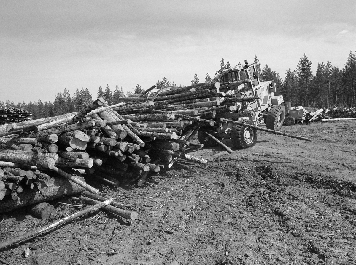 Maskinelt utislag av tømmer med griplaster fra terminalplassen ved Glomstadmora i Åmot, Hedmark. Slike terminalplasser var et produkt av det målbevisste tekniske rasjonaliseringsarbeidet i skogbruket etter 2. verdenskrig. En av forutsetningene for slike plasser var at en stadig større del av avvirkningen ble hentet med lastebiler på de mange nye skogsbilvegene, slik at tømmeret kunne samles på noen få utislagssteder.

I 1985, som ble det siste året med tømmerfløting i Glomma, var Glomstadmora det øverste utislagsstedet, Her lå det lagret 10 000 fastkubikkmeter tømmer som skulle slås på vassdraget ved hjelp av fire griplastere. Hver maskin skulle kunne ekspedere om lag 500 kubikkmeter om dagen. Følgelig regnet man med å kunne tømme plassen i løpet av fem dager. Deretter ble maskinene flyttet nedover vassdraget, der det lå mer tømmer som skulle slås på vannet og fløtes i retning Borregaard-fabrikken i Sarpsborg.

Se fanen «Opplysninger».