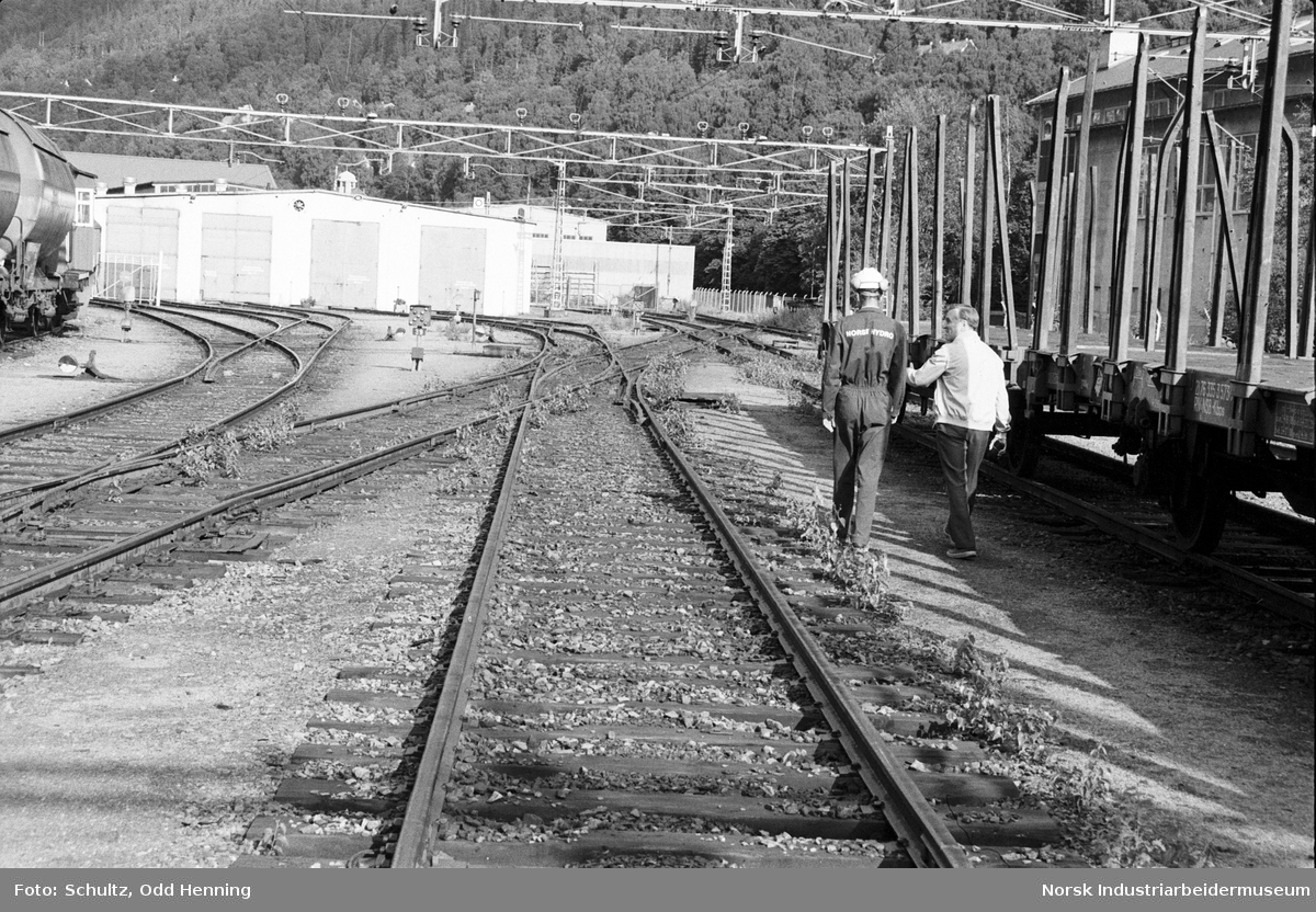 Vegetasjon i sporene på stasjonstomta. To menn spaserer mellom et av jernabanesporene og jernbanevogner for sekker.
