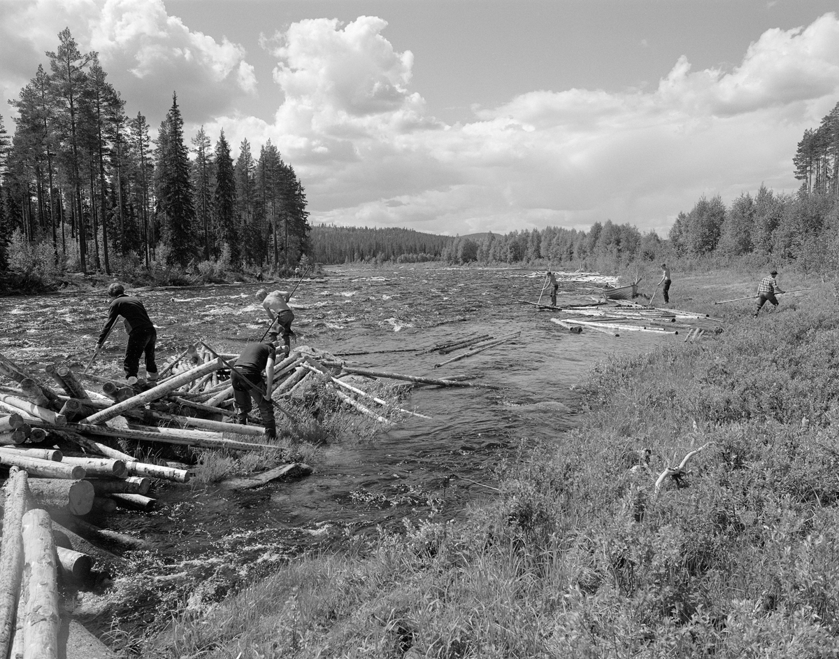Sluttrensk i elva Stor-Grøna i Trysil, Hedmark. Fløtere i arbeid for å løsne tømmeret i en tømmervase som har bygd seg opp i elva.