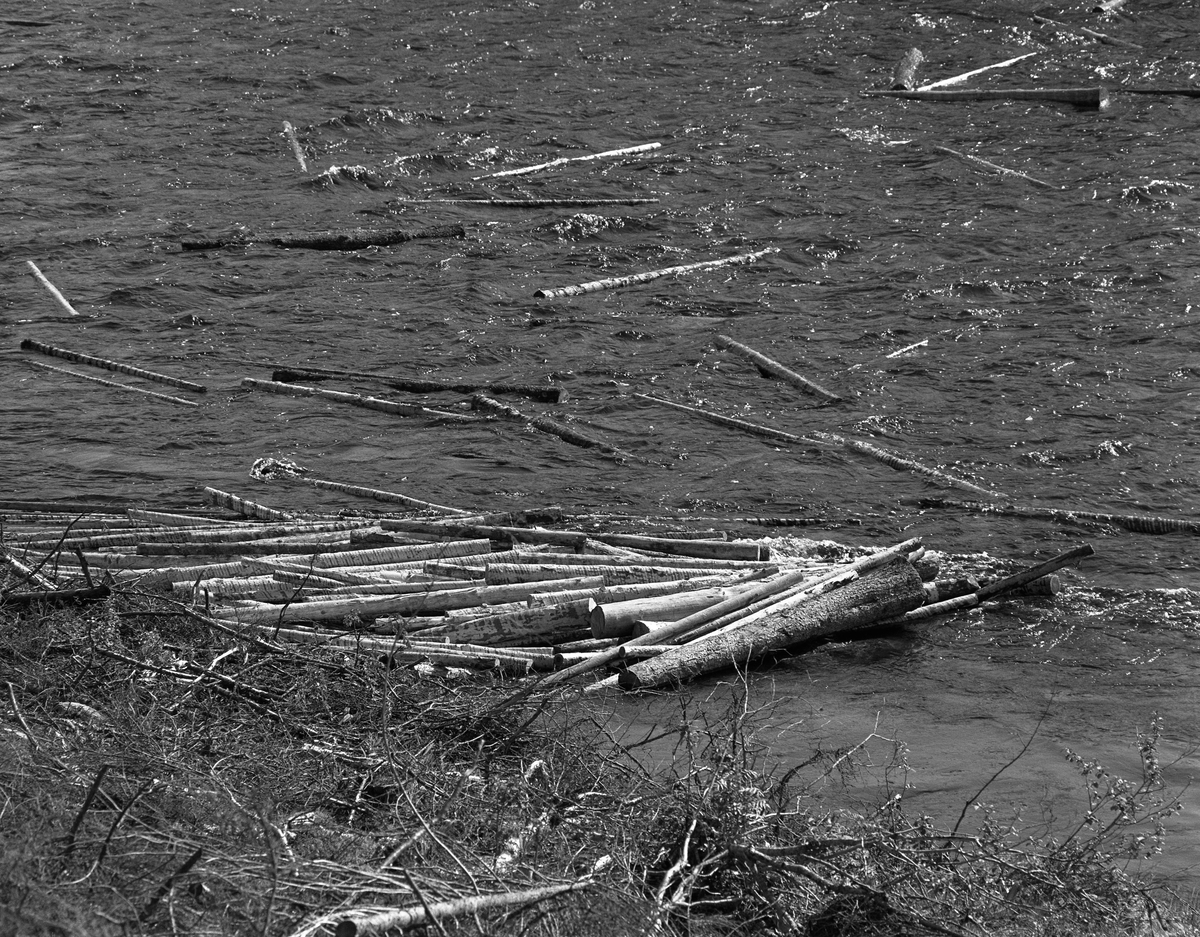 Sluttrensk i elva Stor-Grøna i Trysil, Hedmark. Bildet viser tømmer som har lagt seg langs elvebredden.