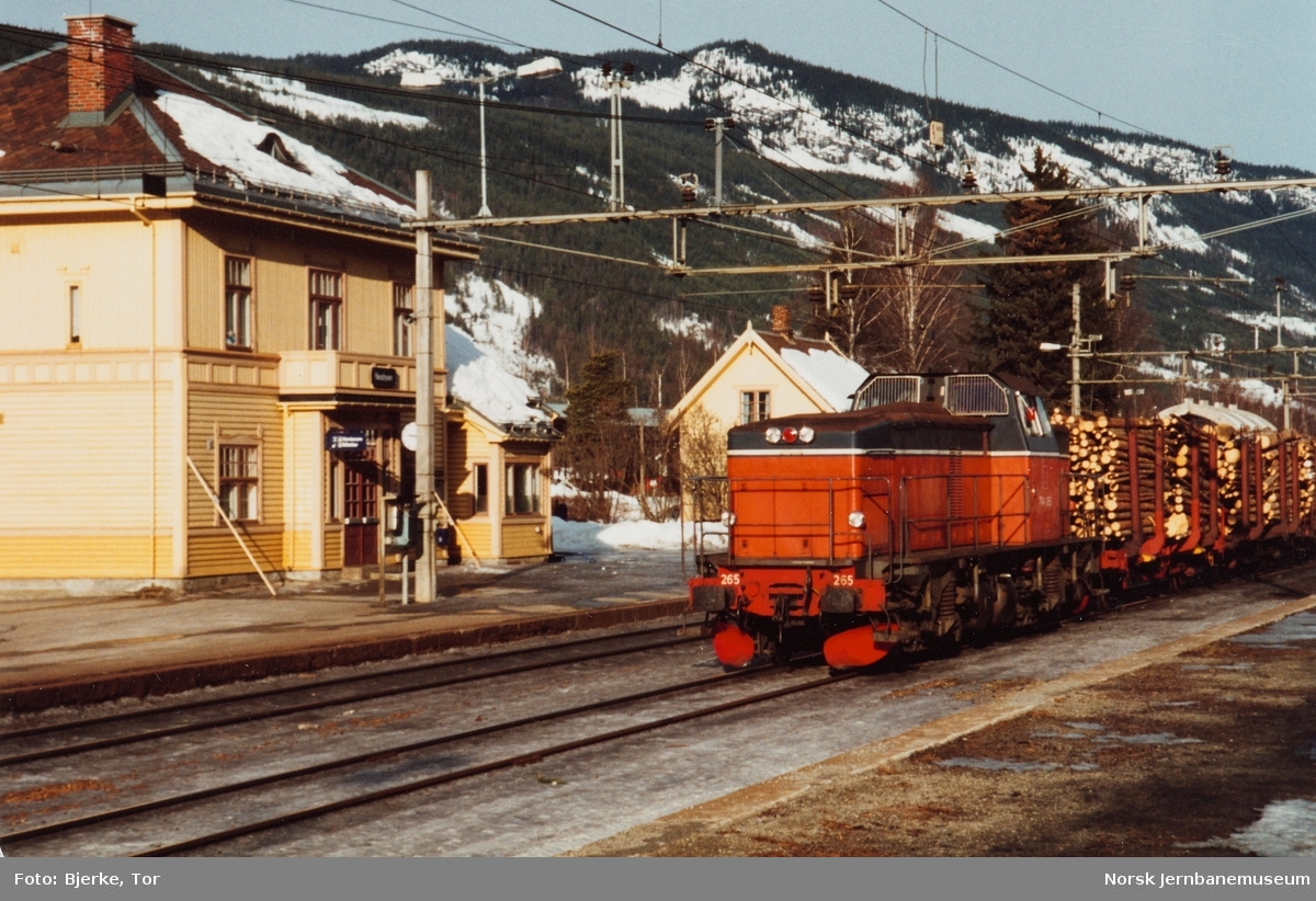 Svensk diesellok T 44 265 med tømmertog på Nesbyen stasjon