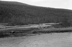 Landskapsbilde, tatt ved elva Hinøglas innløp i den nordvest