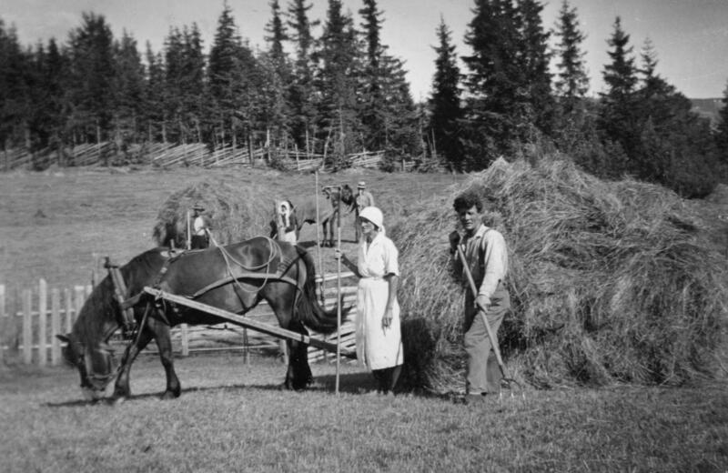 Hest og slåttefolk i arbeid