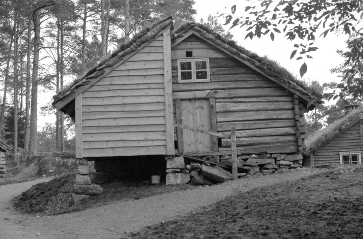Dokumentasjonsbilder i serie av ei ferdig oppført bygning på Sunnmøre Museum. Et kufjøs med ei tilbygd grisebinge fra Fiskå i Vanylven.