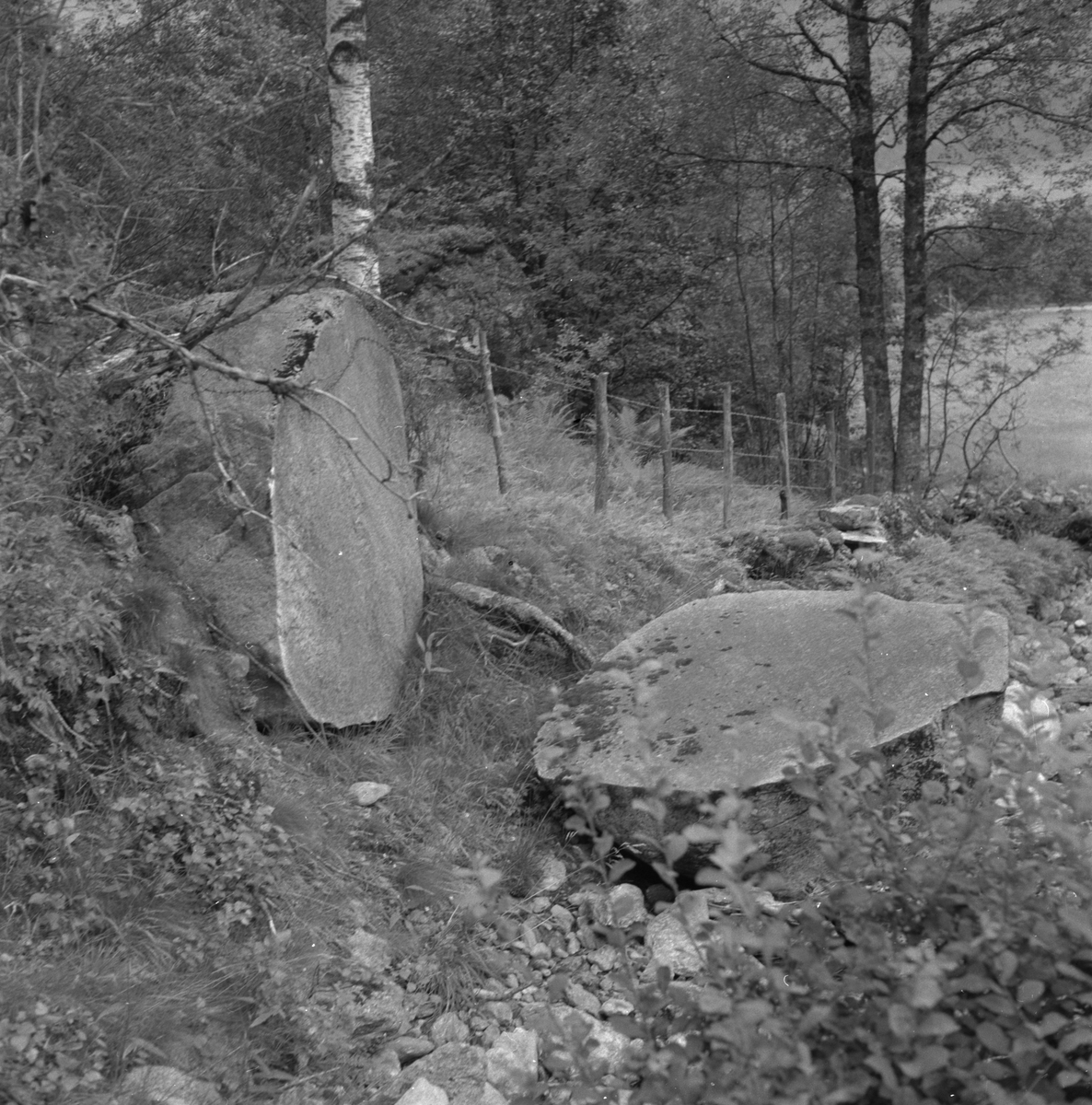 Stor, kløyvd stein nær Stølsmarka i Vikedal, 1970.