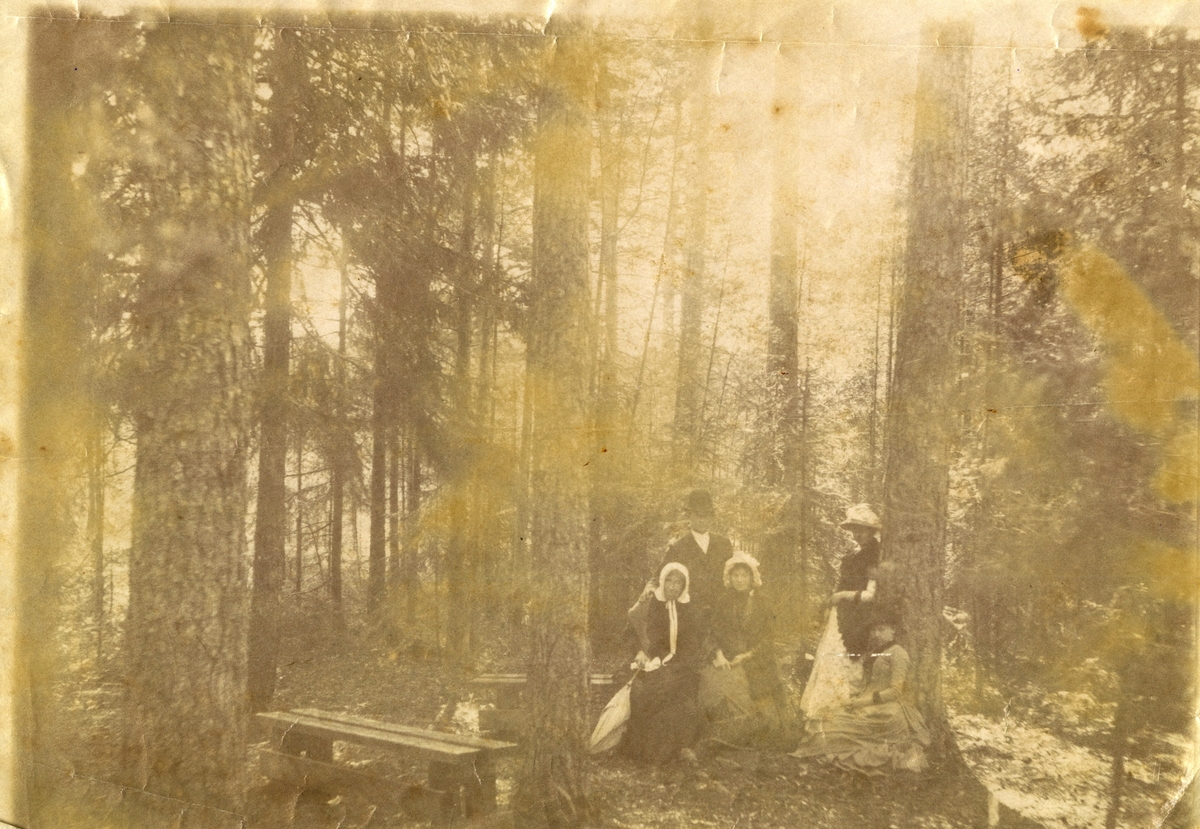 Tante Jette Homann, en mann og 3 kvinner på tur i Berg skogen til "Tantes furuer". Kanskje Natti Hartwig med ryggen mot treet.