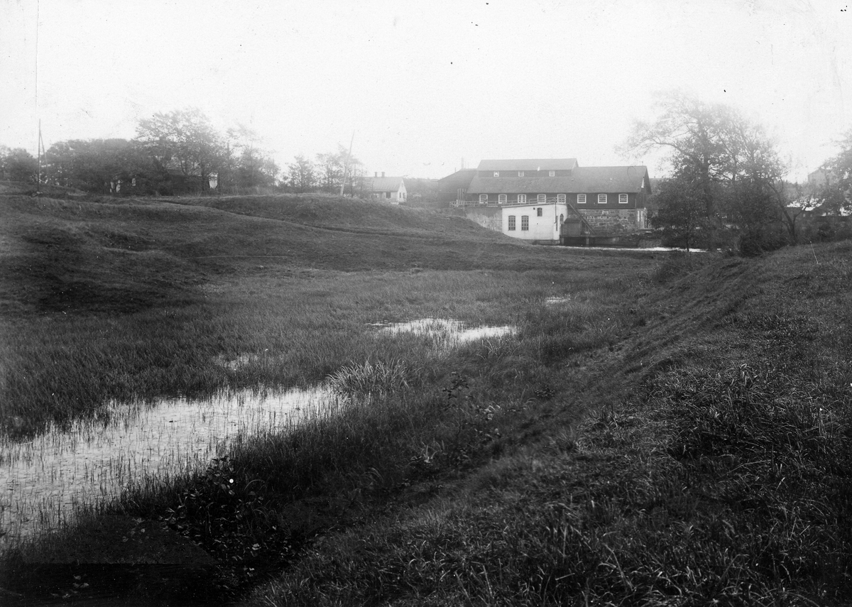 Laholm. Lagaholm. RAÄ 38. Laholms landsförsamling. Lagaholms slottsruin innan utgrävning.