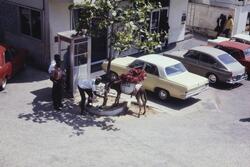 Parkerte biler ved en gate på Jamaica. Til venstre noen menn