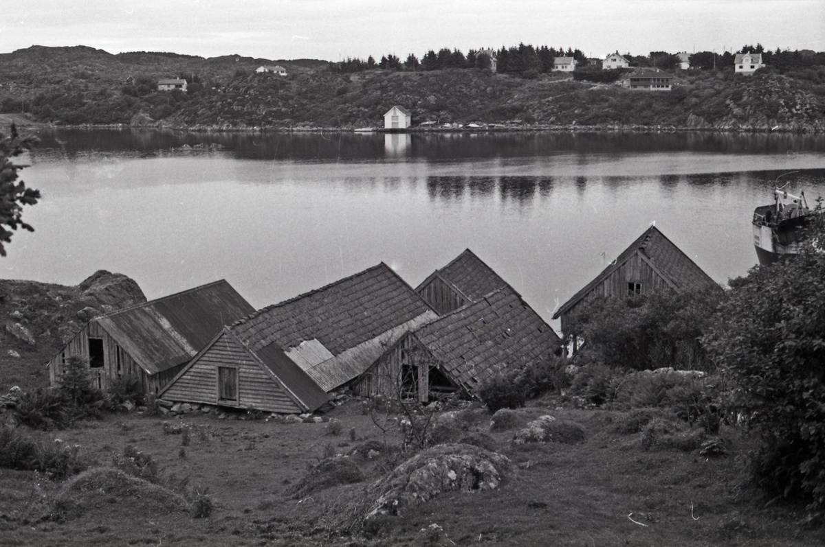 Solhålå, sjøbruksanlegget i Vedavågen.