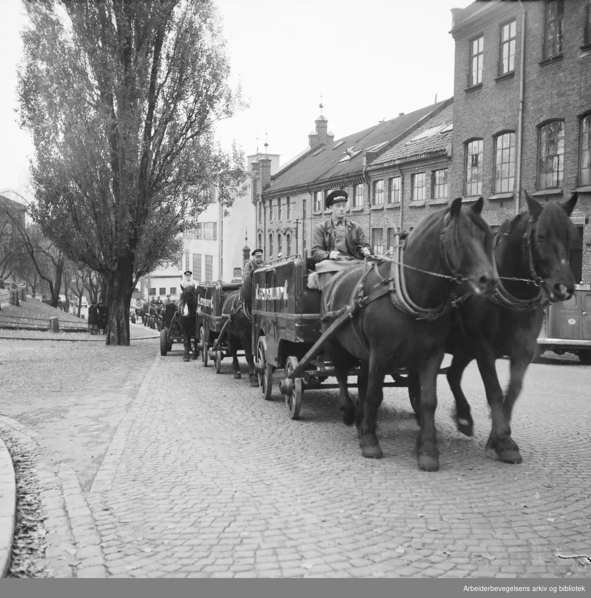 Frydenlunds bryggerihester for siste gang gjennom byens gater. Norabakken. 29. Oktober 1952.