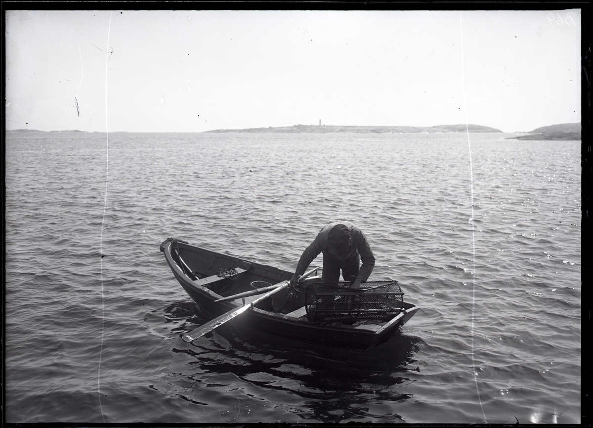 Juni 1924. Hummerfiske, man med hummertina i eka.