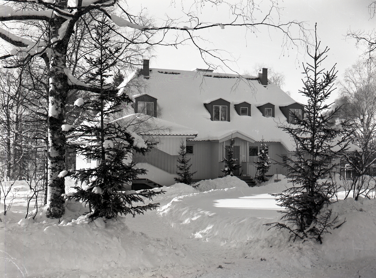 Stort bostadshus med valmat tak med takkupor. Huset är omgivet av en snötäckt trädgård, 30 januari 1951.