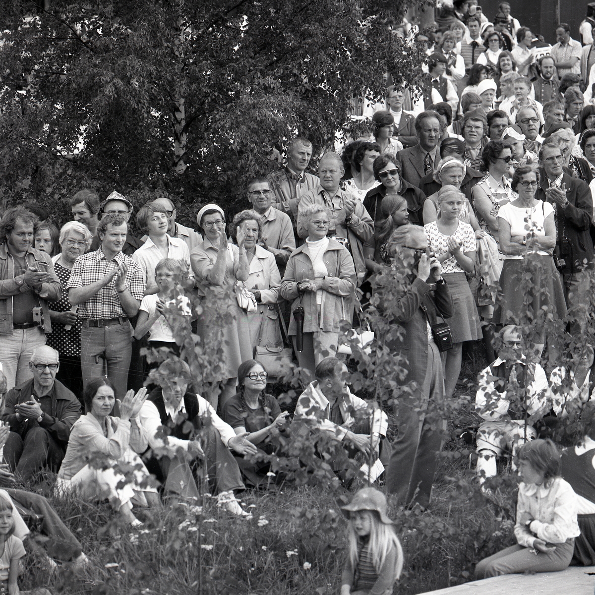 En stor publik står på en grässluttning och applåderar under Hälsingehambon, Hanebo 1974.