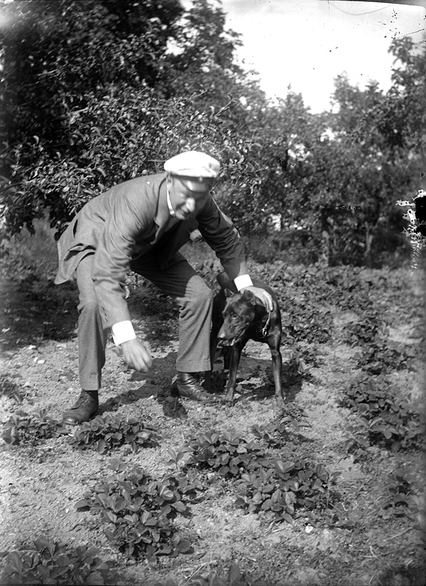 Manlig student leker med hund i trädgård. Västerås.