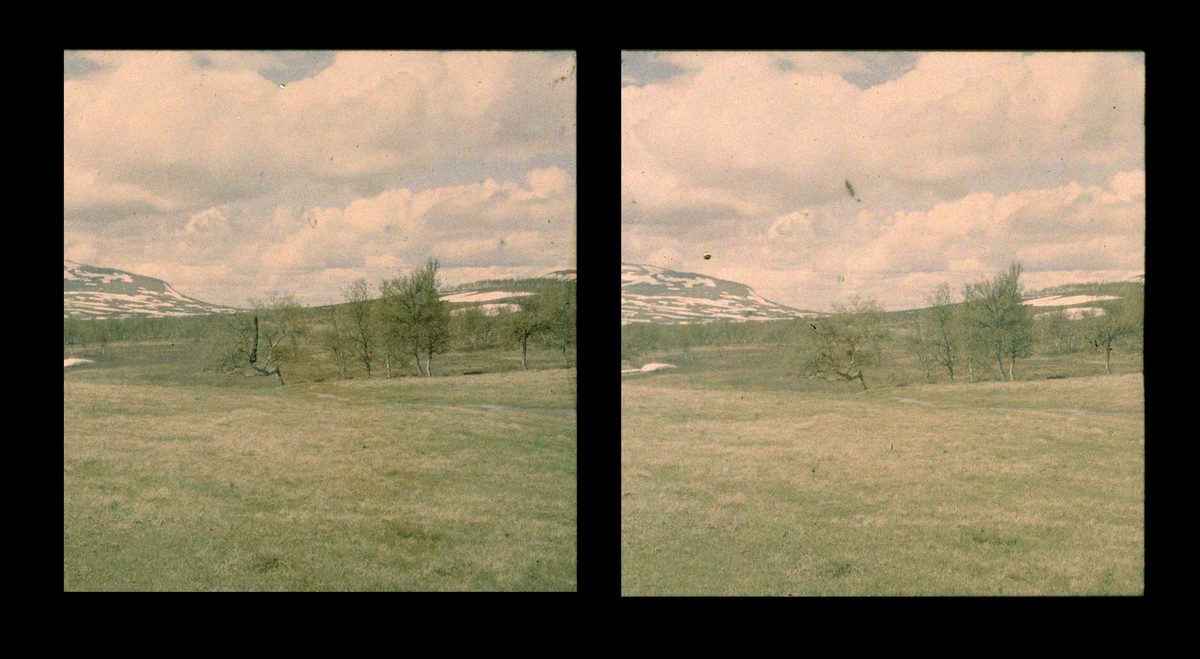Landskap. Tilhører Arkitekt Hans Grendahls samling av stereobilder.