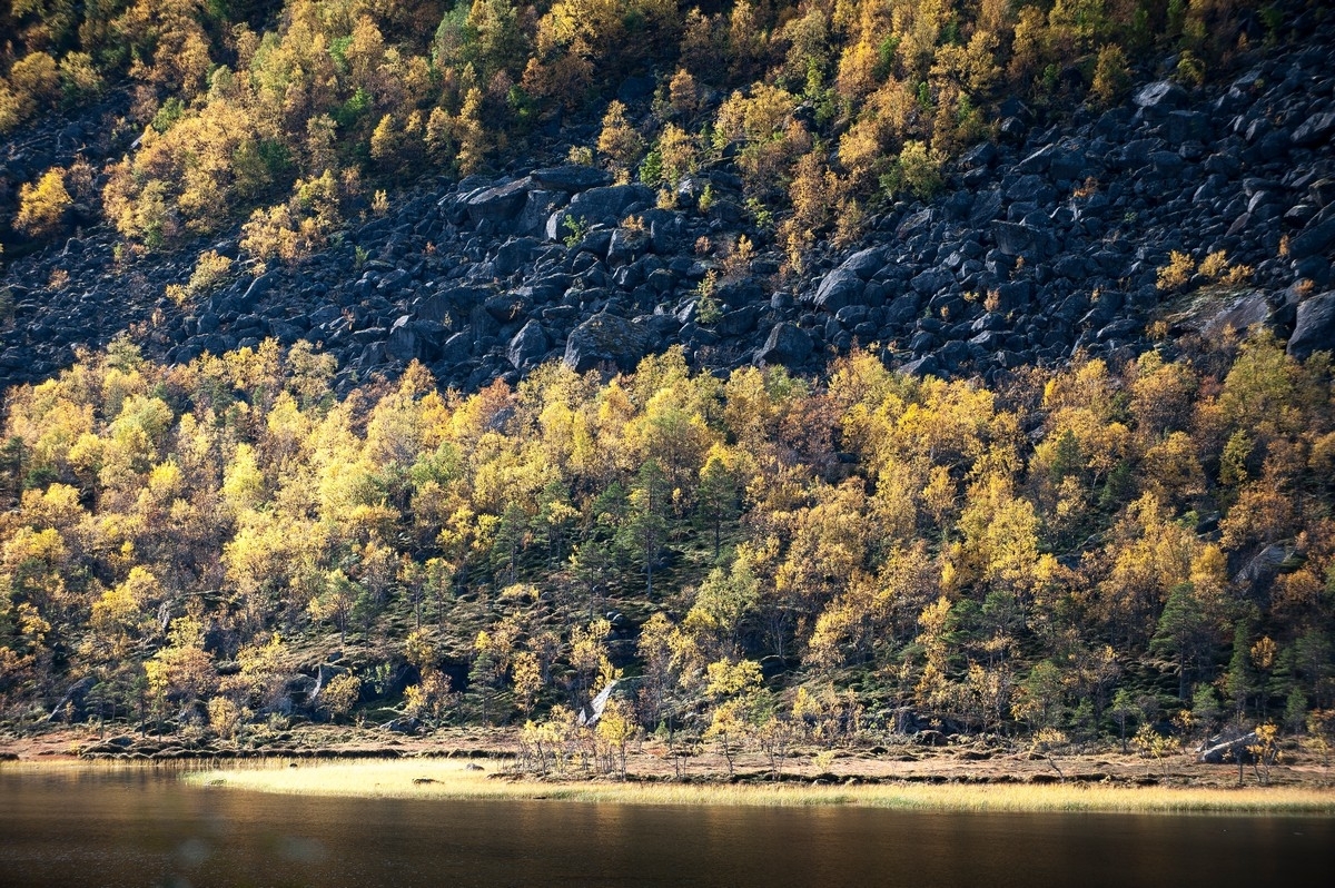 Lillevann. Nederenden. Foto fra Beisfjord . Foto 24. sept 2015