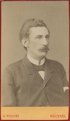 John Prawitz (1849-1890)