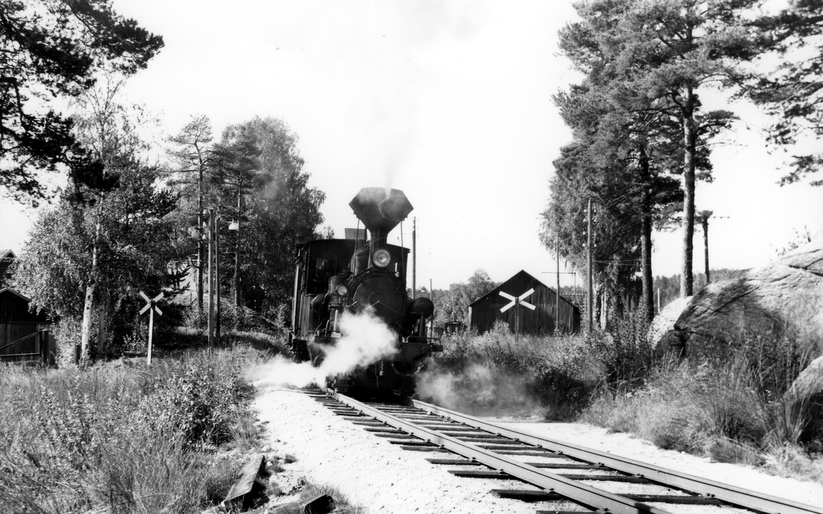 Setesdalsbanen. Avgang fra Hornnes stasjon. Lok nr. 5.  August 1958.