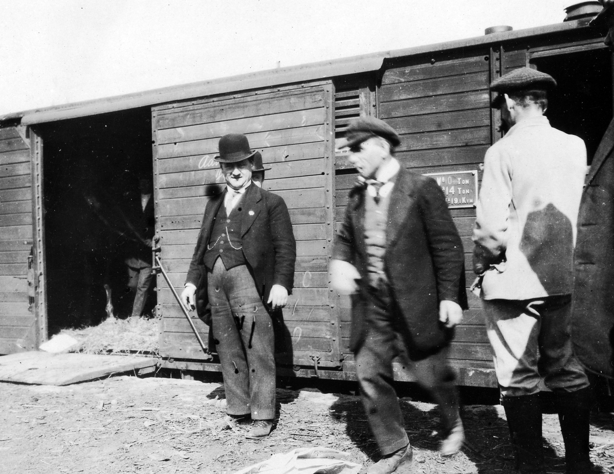 Bild på 3 män framför godsvagnar som ska transportera hästar. Bilden troligen tagen vid Alingsås station.